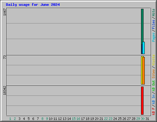 Daily usage for June 2024