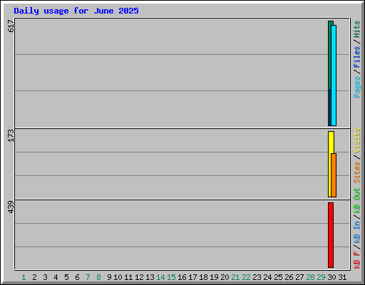 Daily usage for June 2025