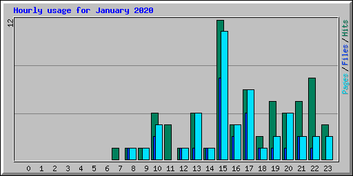 Hourly usage for January 2020
