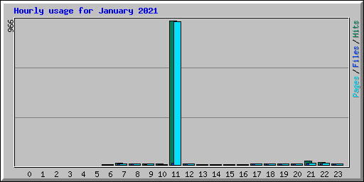 Hourly usage for January 2021