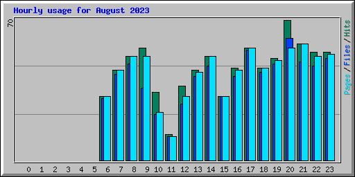 Hourly usage for August 2023