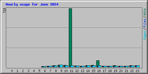 Hourly usage for June 2024