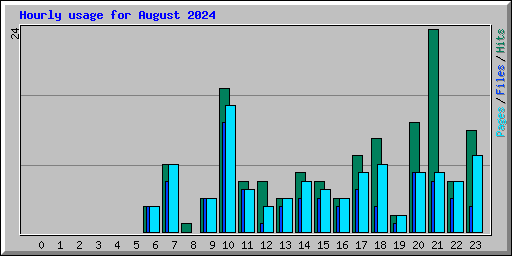 Hourly usage for August 2024