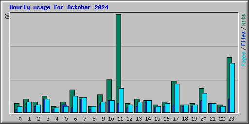 Hourly usage for October 2024