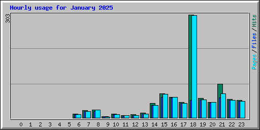 Hourly usage for January 2025