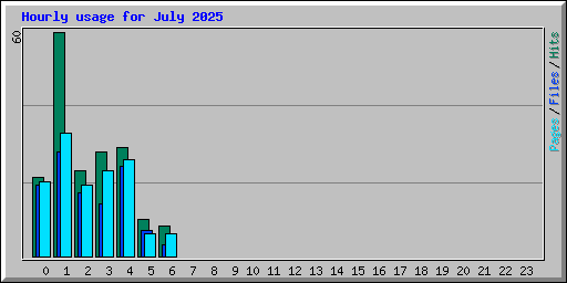 Hourly usage for July 2025