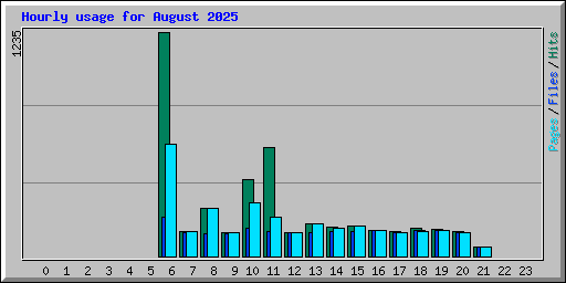 Hourly usage for August 2025