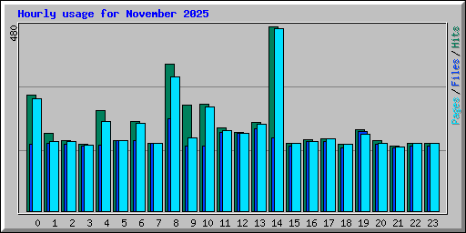 Hourly usage for November 2025
